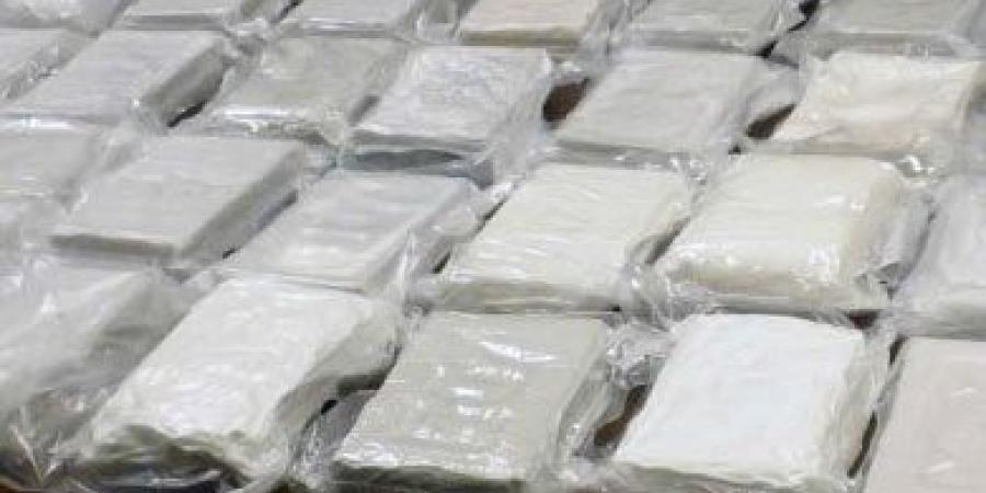 ألمانيا تضبط 700 كيلو كوكايين في شحنة سكر