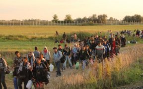 إطلاق النار على شاحنة تقل مهاجرين في المجر