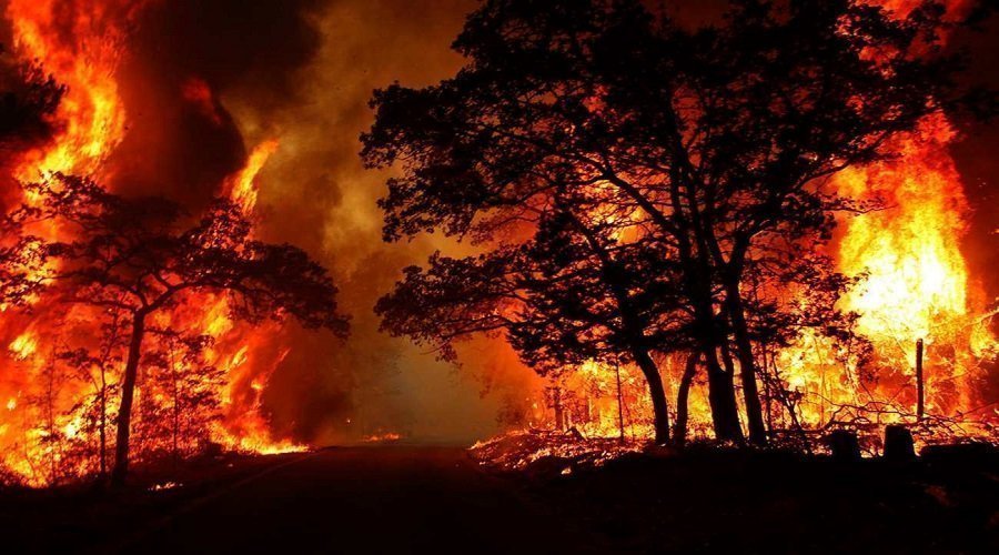 إخلاء عدد من القرى.. حرائق الغابات تمتد إلى الأراضي المزروعة في اسبانيا