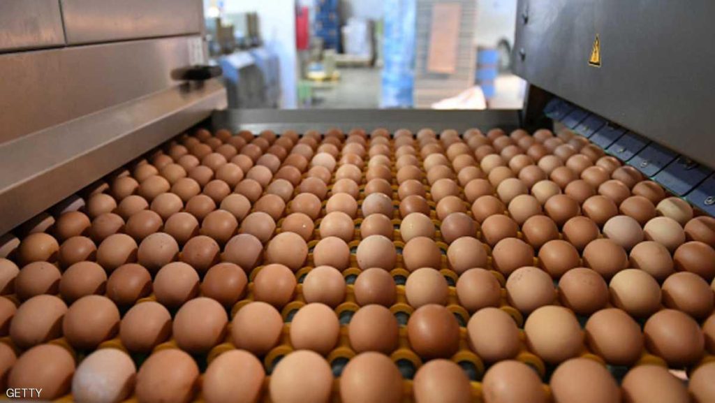 ارتفاع كبير في أسعار البيض بفرنسا