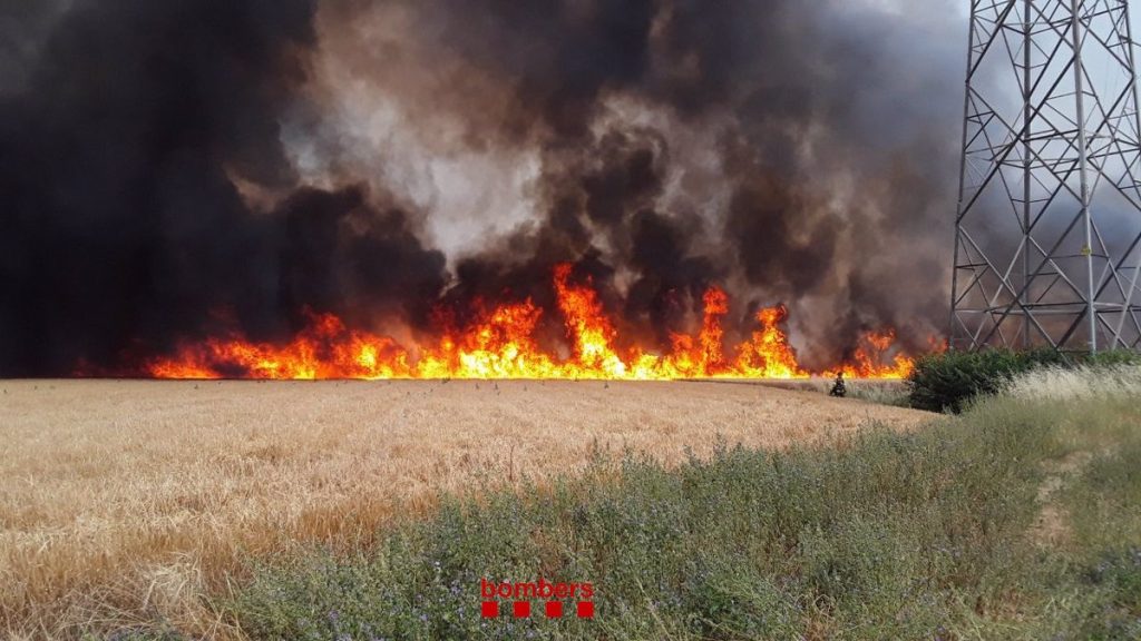 النيران تلتهم مخيما للمهاجرين العاملين في الزراعة جنوبي غربي إسبانيا