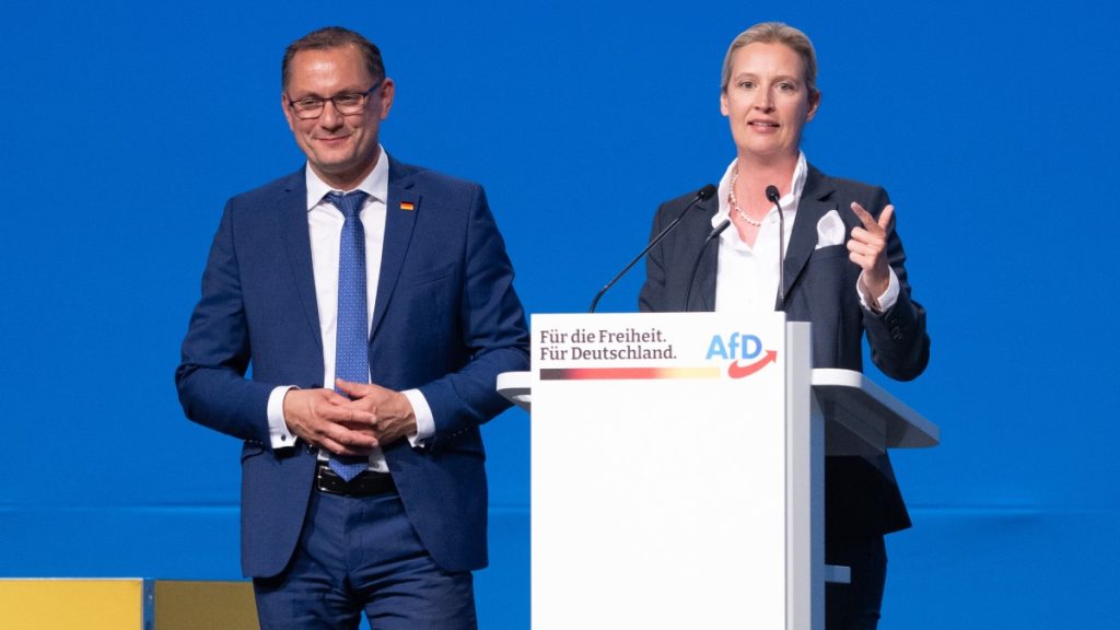 حزب "البديل" الشعبوي الألماني ينتخب قيادة جديدة