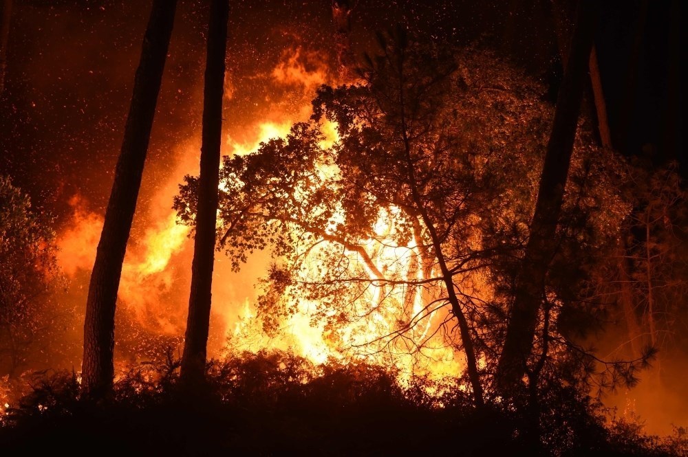 قوات الإطفاء تكافح للسيطرة على حرائق الغابات جنوب فرنسا