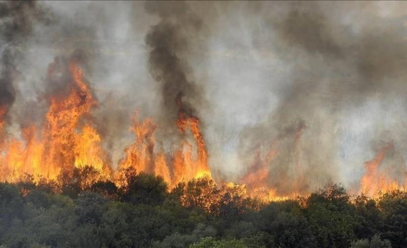 الحرائق تجلي أكثر من 6500 شخص في فرنسا