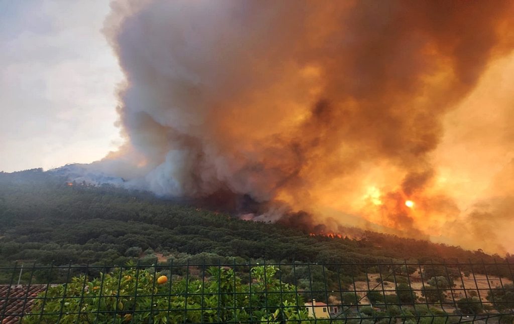 حريق يخرج عن السيطرة في محمية "مونتافراجوا" الإسبانية