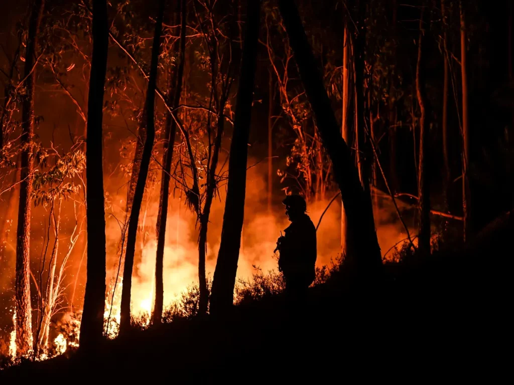 البرتغال تعلن الطوارئ عاما كاملا بعد حريق منتزه أثرية