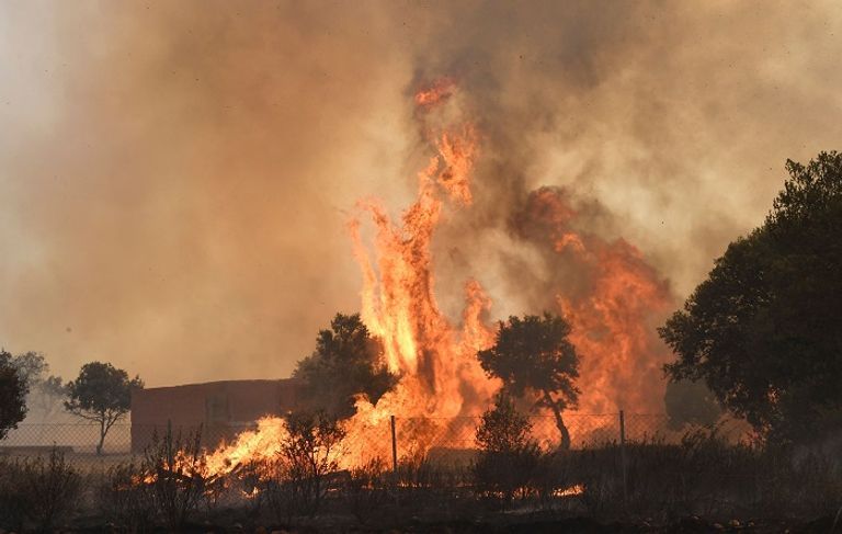 الحرائق تدمر 6800 هكتار من الغابات بفرنسا