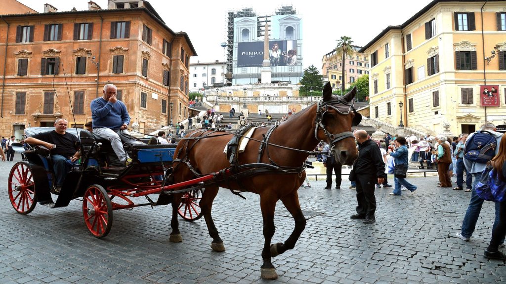 إيطاليا تحظر استخدام عربات الخيول