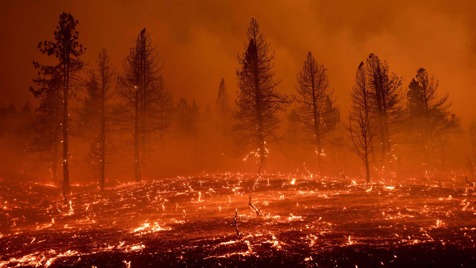 حرائق الغابات تلتهم 700 ألف هكتار من أراضي أوروبا