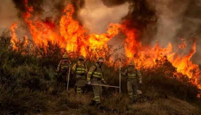 حريق يدمر قرابة 10 آلاف هكتار من الأرضي في إسبانيا