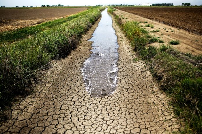 قرابة ثلثي القارة الأوروبية عرضة لتهديد الجفاف