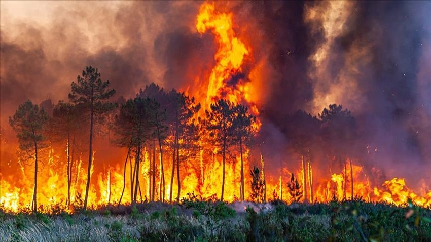 الحرائق تلتهم أكثر من 1000 هكتار في فرنسا