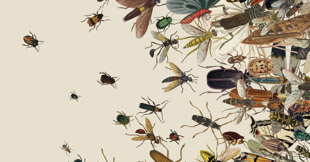 يابانيون يصممون تطبيقا يتيح التحكم في الحشرات للبحث عن المفقودين في أوقات الكوارث